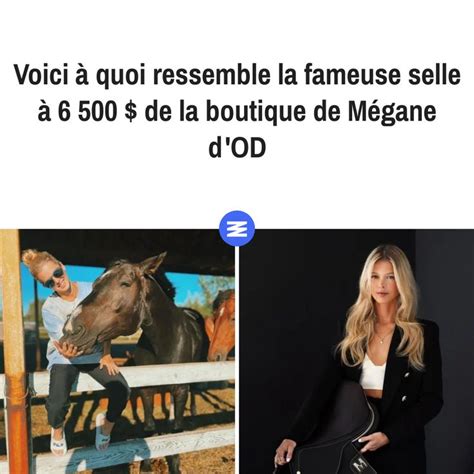 Voici à quoi ressemble la fameuse selle à 6 500 .